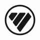 foton logo