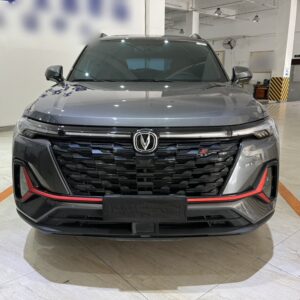 2025 byd seagull 30.08 kwh (copy)